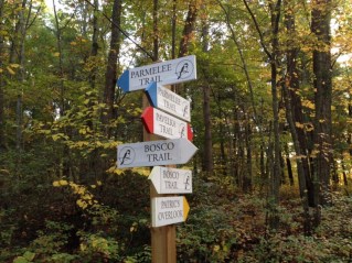 a374d624-8cfd-4afa-b1fc-ee7f7a1be45b-e1449113501403